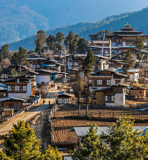 Phobjikha